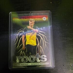 Erling haaland roots card
